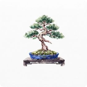 Cây bonsai