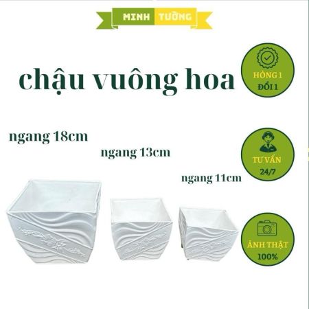Chậu Nhựa Vuông Hoa Size 18cm