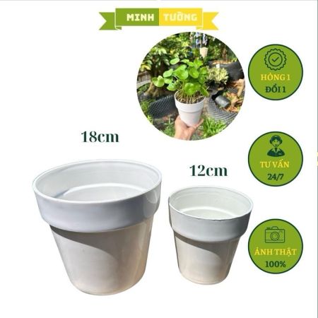 Chậu Nhựa Giả Sứ 2 Tầng
