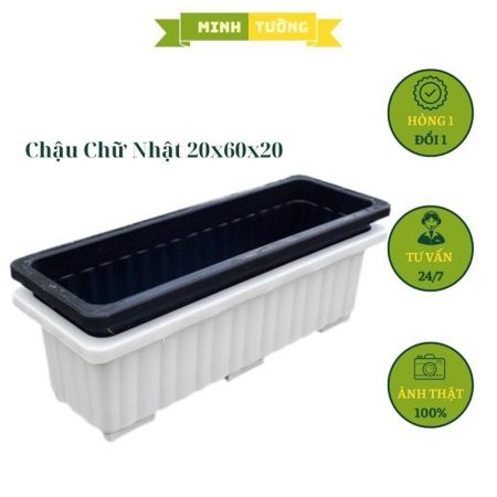Chậu Dài Chữ Nhật Trồng Cây 20x20x60