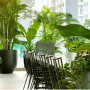 Kỹ thuật chăm sóc cơ bản (Cẩm nang nhà nông)